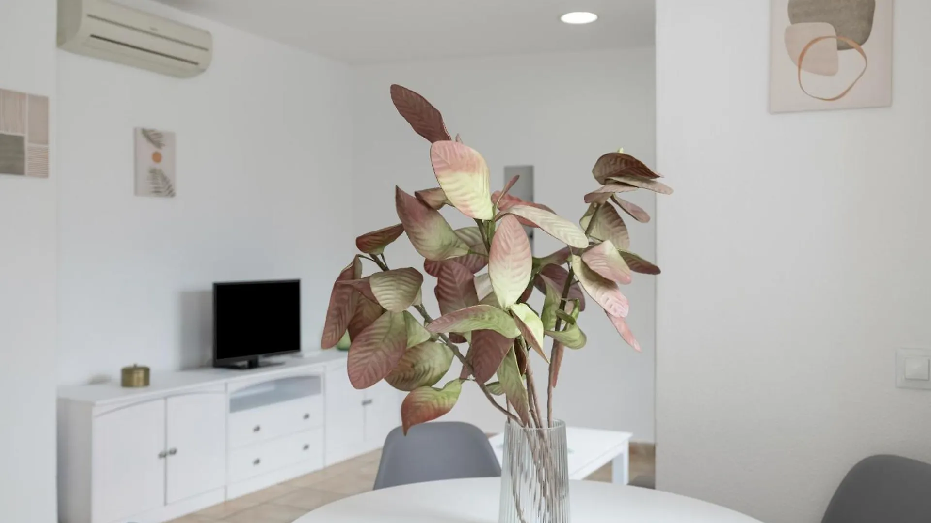 Apartamento Perez Zara 4 Conil De La Frontera 0*,